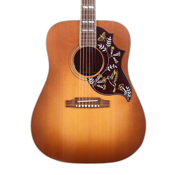 Acoustic Guitars